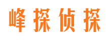 蒸湘寻人公司